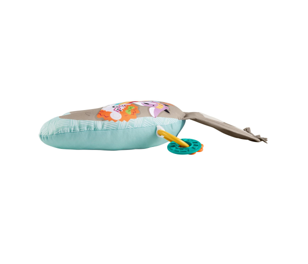Fisher-Price Muzyczny Leniwiec Poduszka z wibracjami - 1013892 - zdjęcie 2